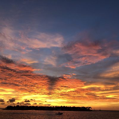 image00036-min